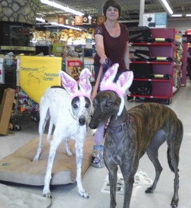 Pixel and Maggie got all dressed up to appear with Vicki Root at Petco in Chula Vista, CA