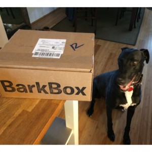 Otis and Bark Box
