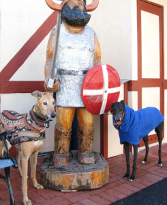 Two greys in Solvang 2015