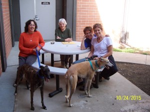 06 - Devotion & Kimba with Kathy, Barbara, Kate & Bernie