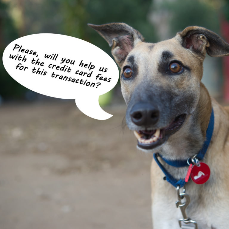 Offset Credit Card Fees - Donation - Greyhound Adoption Center