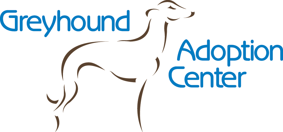 greyhound and whippet rescue