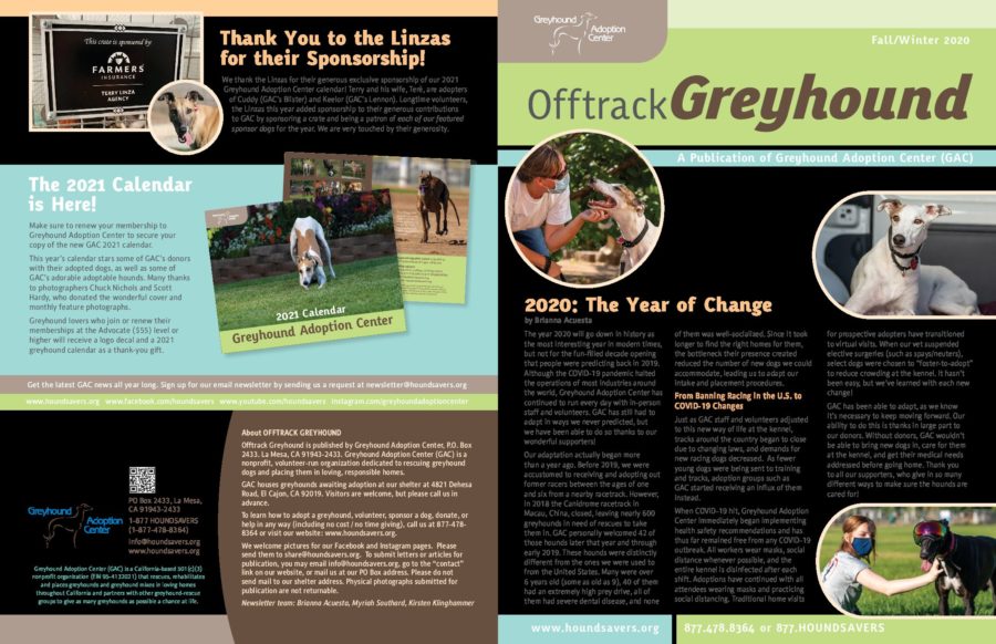 OfftrackGreyhound_2020FallWinter Greyhound Adoption Center