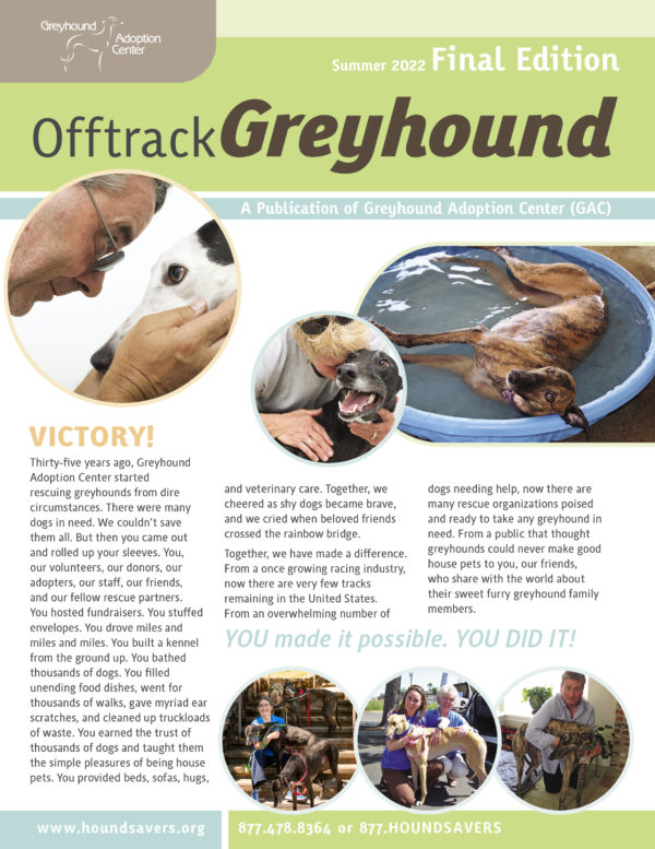 Adopt A Greyhound Greyhound Adoption Center